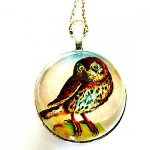 Cute Owl Necklace - Glass Cabochon Necklace -..