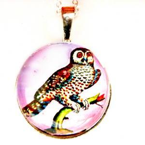 Curious Owl Necklace - Glass Cabochon Necklace -..
