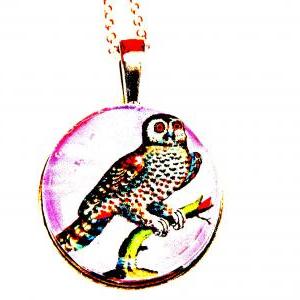 Curious Owl Necklace - Glass Cabochon Necklace -..
