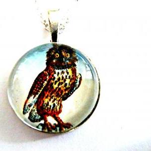 Amicable Owl Necklace - Glass Cabochon Necklace -..