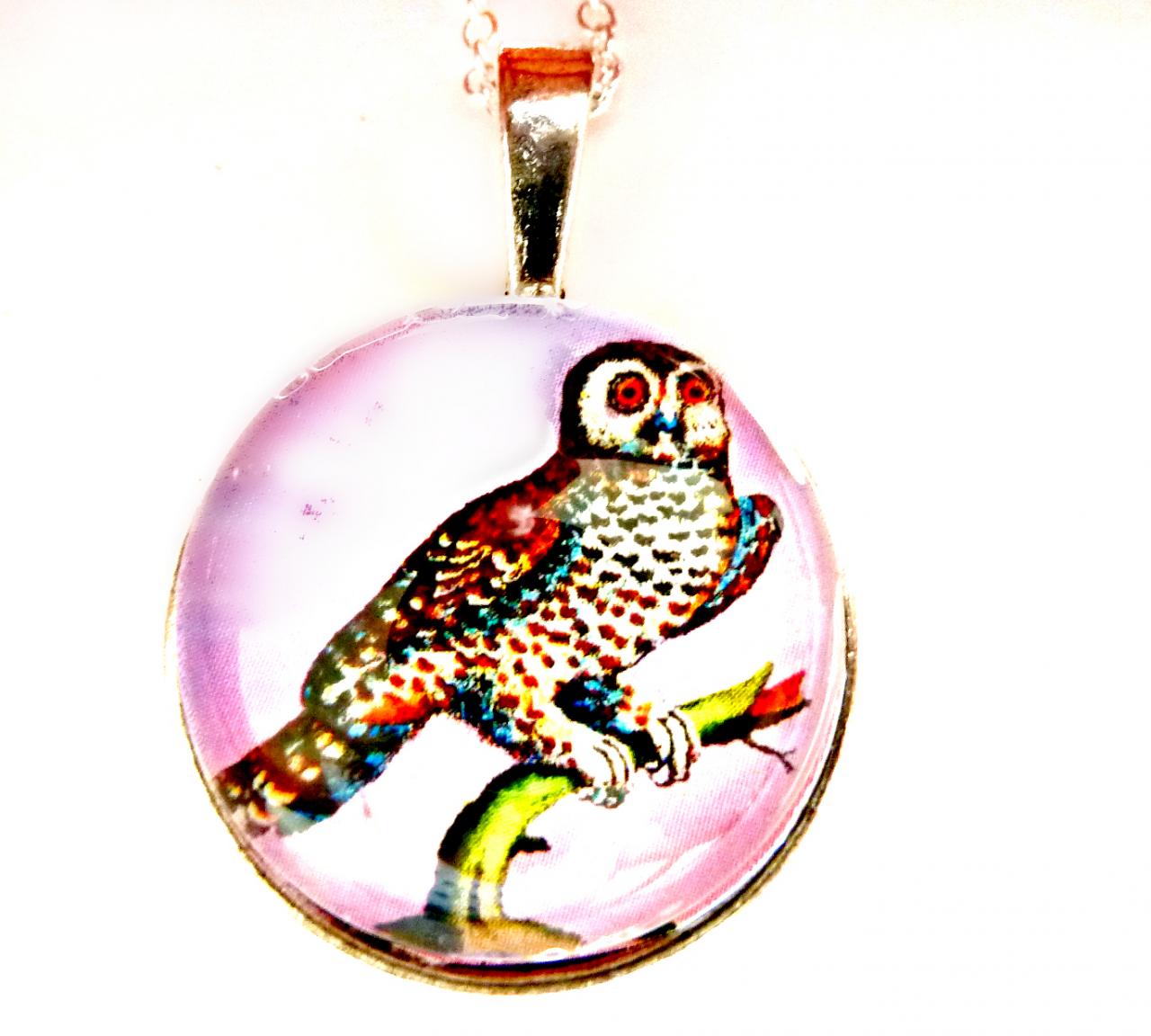 Curious Owl Necklace - Glass Cabochon Necklace - Handmade