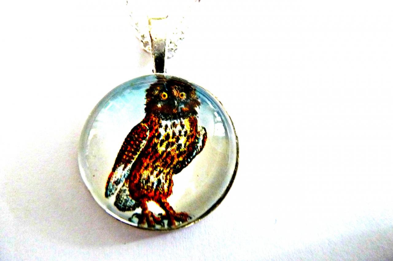 Amicable Owl Necklace - Glass Cabochon Necklace - Handmade